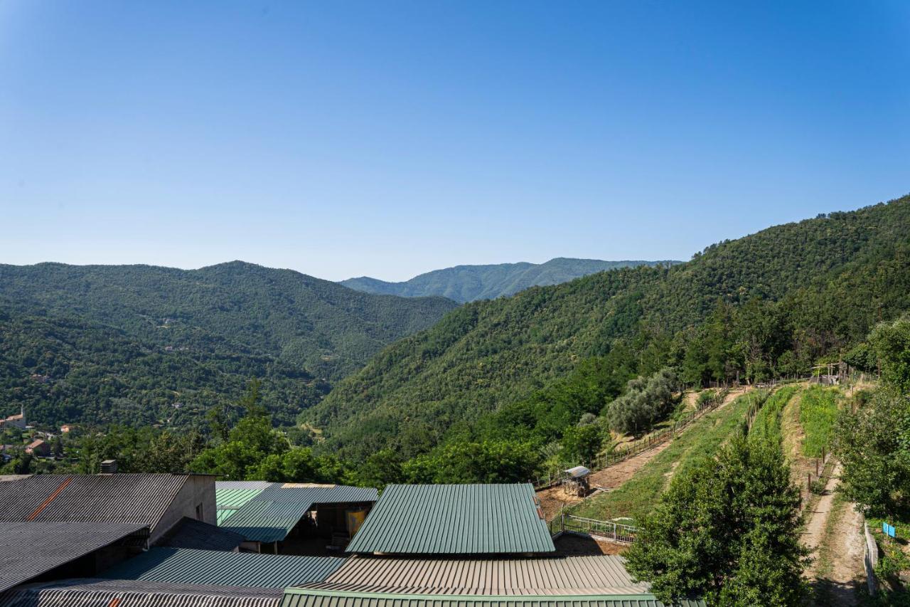 01234 - Agriturismo La Marpea, Esperienza In Mezzo Alla Natura E Al Cibo Tipico Italiano Villa Terisso Ngoại thất bức ảnh